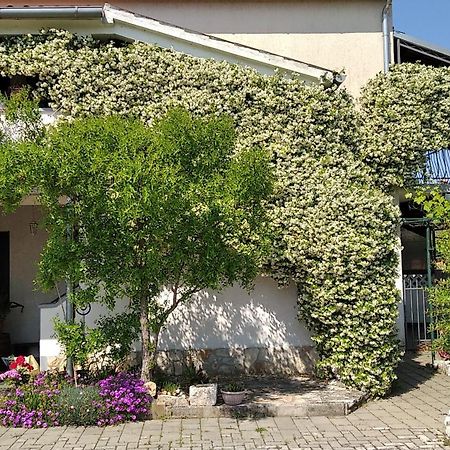 Apartment Sasa Bozac Poreč Eksteriør billede
