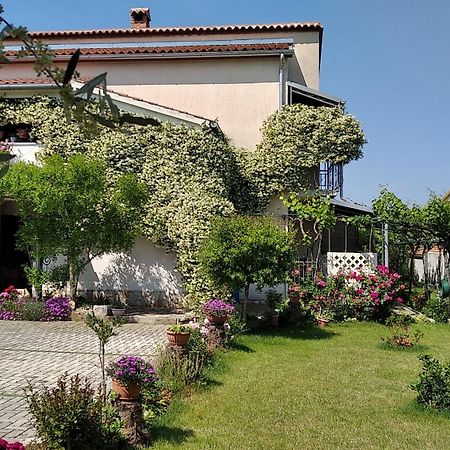 Apartment Sasa Bozac Poreč Eksteriør billede