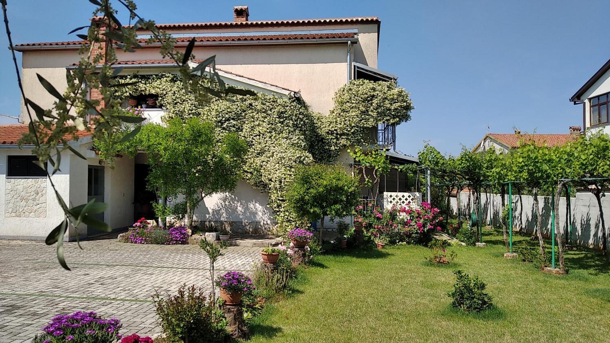 Apartment Sasa Bozac Poreč Eksteriør billede